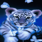 Tiger Butterfly LWP icône