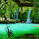 Vacation Spot Live Wallpaper APK