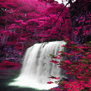 Waterfall View Beauty LWP APK