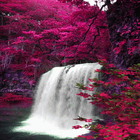 Waterfall View Beauty LWP icône