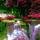 Waterfall Flowers LWP أيقونة