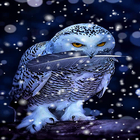 White Owl Live Wallpaper icône
