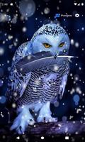 White Owl Live Wallpaper captura de pantalla 1