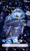 White Owl Live Wallpaper capture d'écran 2