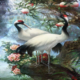 White Birds Live Wallpaper 图标