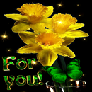 Yellow Magic Flowers LWP APK