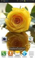 1 Schermata Yellow Rose Shine LWP