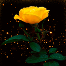 Yellow Shine Rose LWP APK