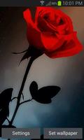 Abstract Red Rose LWP poster