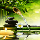 Bamboo Water Live Wallpaper أيقونة