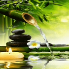 Bamboo Water Live Wallpaper ikona