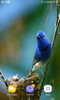 2 Schermata Bird Childs Live Wallpaper