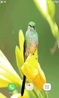 Bird On Flower LWP screenshot 2