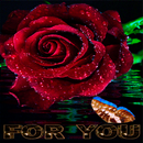 Blooming Rose Butterfly LWP APK