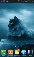 Black Cat In Rain LWP screenshot 1