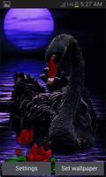 Black Swan Live Wallpaper الملصق