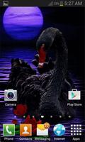 Black Swan Live Wallpaper capture d'écran 1