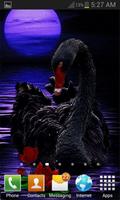 Black Swan Live Wallpaper capture d'écran 2