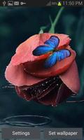 Blue Butterfly LWP poster