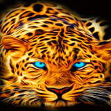 Blue Eyes Leopard LWP icon