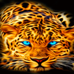 Blue Eyes Leopard LWP