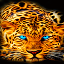 Blue Eyes Leopard LWP APK