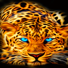 Blue Eyes Leopard LWP آئیکن