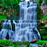 Blue Fall View LWP icon