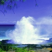 Blue Ocean Fountain LWP