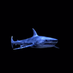 Blue Shark Live Wallpaper