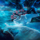 Blue Swan Live Wallpaper APK