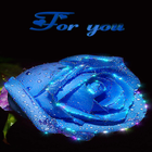 Blue Rose For You LWP أيقونة