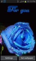 Blue Rose For You LWP Affiche