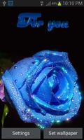 Blue Rose For You LWP الملصق