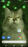 Cat Eyes Blinking LWP screenshot 2