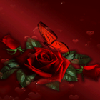 Dark Rose Butterfly LWP أيقونة