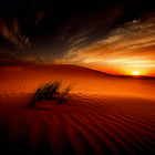 Desert Sunset Live Wallpaper icône