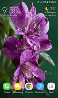 Dewy Purple Flower LWP imagem de tela 2