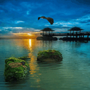 Evening Beach View LWP APK