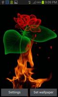 Fiery Rose Magic LWP Affiche