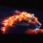 Fiery Tiger King LWP 圖標