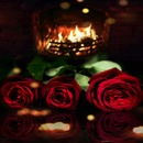 Fireplace Roses LWP APK