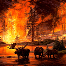 Forest Fire Live Wallpaper APK