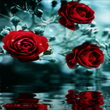 Flower Branch Live Wallpaper icon