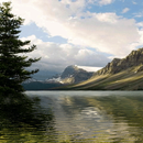 Golden Hilly Lake LWP APK