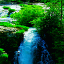 Green Forest Waterfall LWP APK