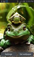 Green Frog Live Wallpaper پوسٹر