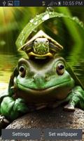 Green Frog Live Wallpaper gönderen
