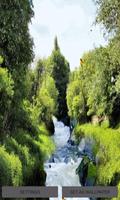 Green Jungle Live Wallpaper 포스터