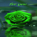 Green Rose For You LWP APK